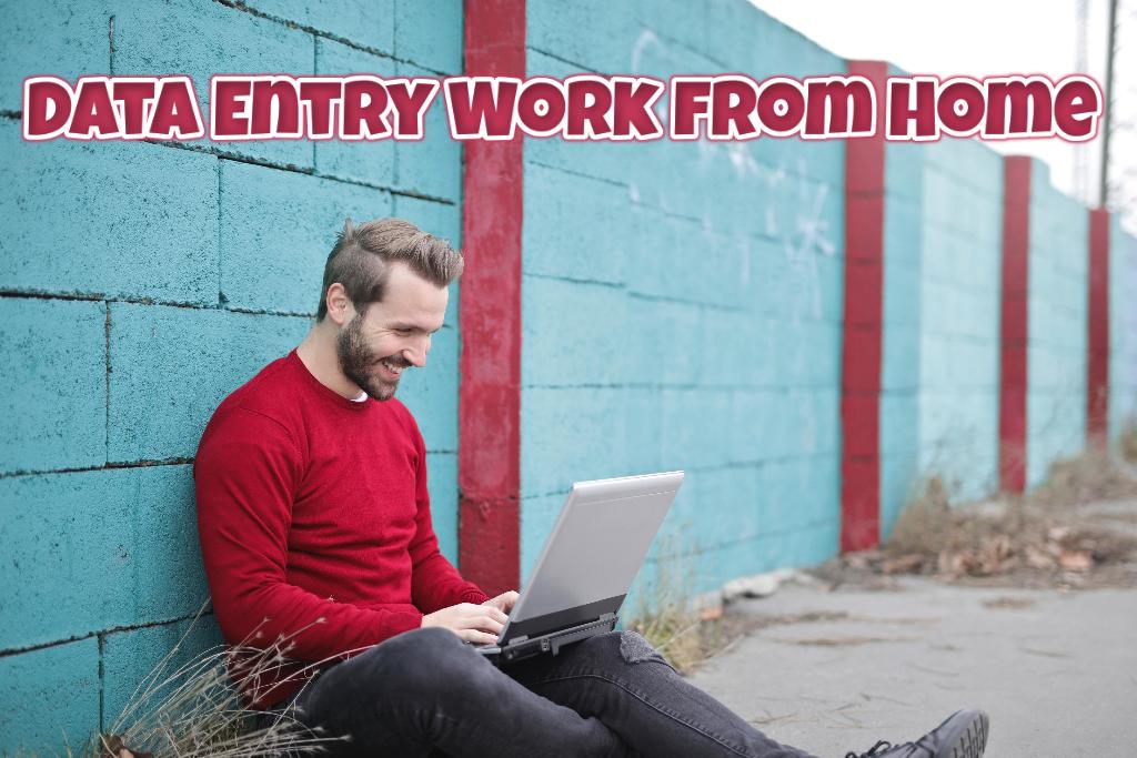 Data Entry Work from Home